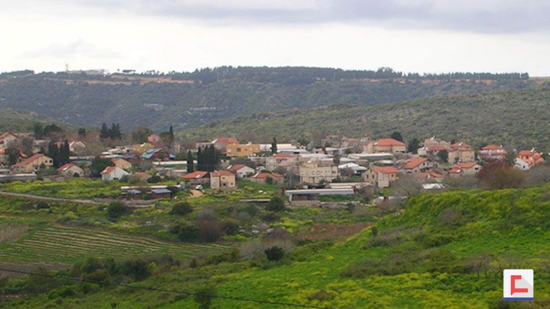 "تربيخا" الفلسطينية.. أرض عربية اغتصبها كيان العدو
