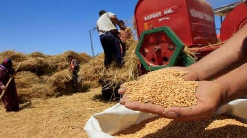 "المركزي" يهدر الوقت ويضع اللبنانيين أمام أزمة رغيف