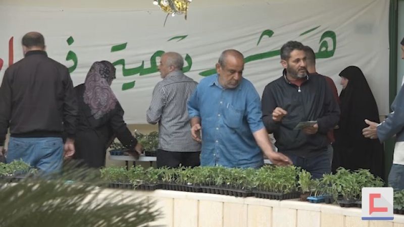  مشروع زراعي يُقاوم غلاء أسعار الخضروات
