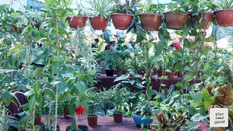 "زهور وطيور فلسطين 2022".. مزروعات جديدة رغم الحصار