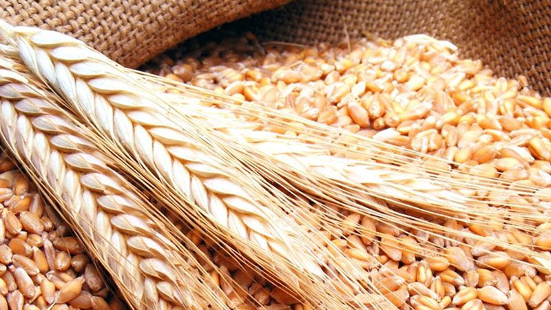 نقيب الأفران في بيروت يطالب برفع الدعم عن القمح وحصره ببطاقة تمويلية
