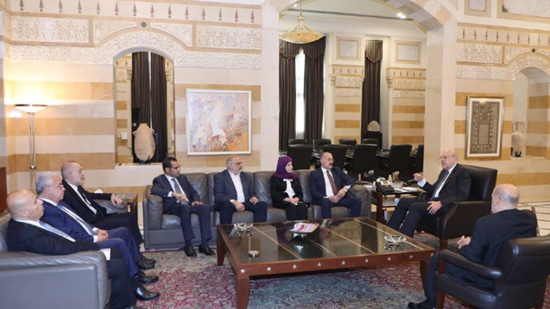 الصحة النيابية تُطلع ميقاتي على التوصيات الخاصة بـ"الكوليرا"