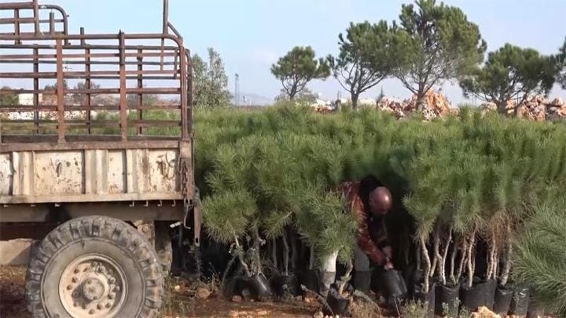حملة تشجير يطلقها حزب الله في منطقة جبل عامل الثانية