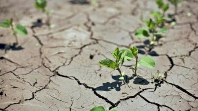  انحباس المطر في لبنان: آثارٌ خطيرة والزراعة المُتضرّر الأول
