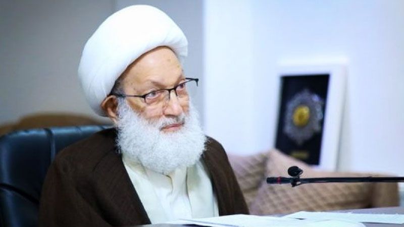 الشيخ قاسم لحكومات البلاد الإسلامية: فلتكن لكم غيرة على القرآن 