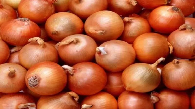 أسباب ارتفاع سعر البصل.. هذا ما كشفته وزارة "الزراعة"!