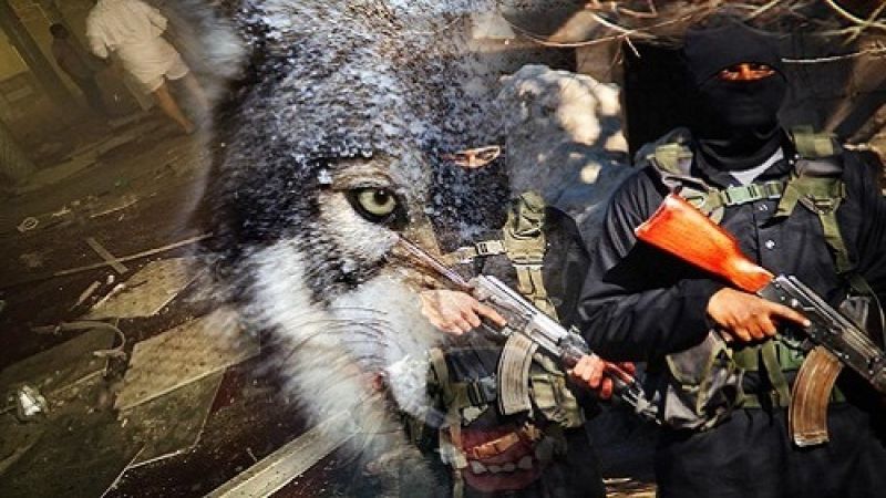 "الذئاب المنفردة" تكذّب رواية الاحتلال: منفّذ عملية "مجدو" في مكان آمن ولدينا توثيق للعملية