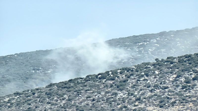 الخارجية اللبنانية أدانت القصف الصهيوني في محيط كفرشوبا: خرق للـ1701 واعتداء على السيادة 