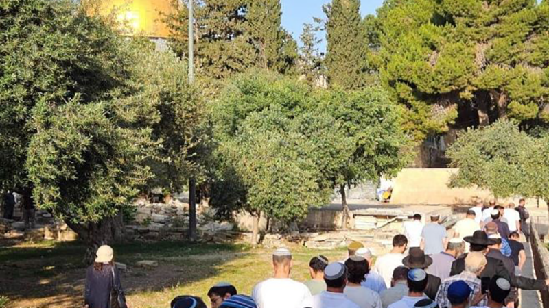 تحذيرات من استباحة جديدة للمسجد الأقصى في ذكرى "خراب الهيكل"