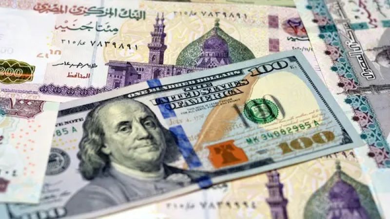 بعد انضمامها لـ"بريكس".. مصر توجه ضربة قوية للدولار 