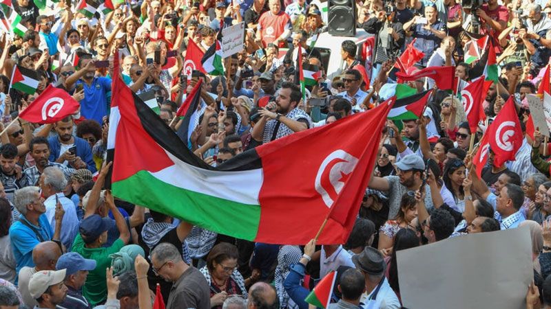 ندوة فكرية في تونس: المُنجزات المُتحقّقة من "طوفان الأقصى"