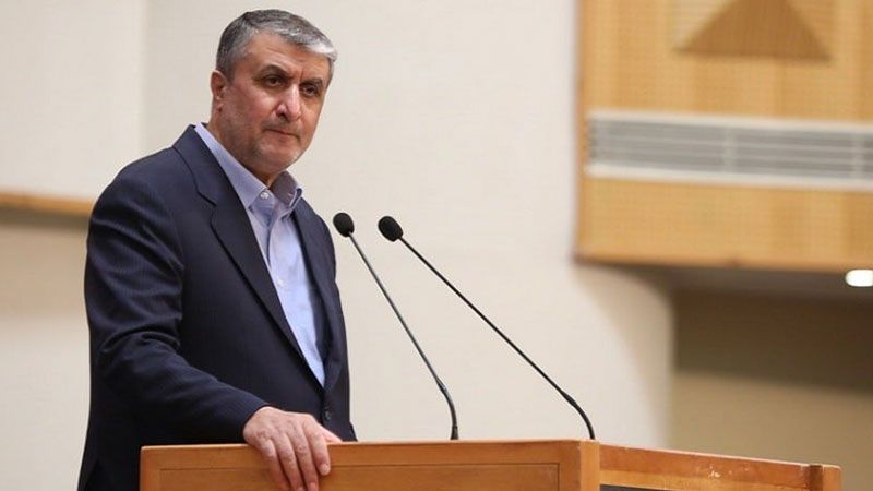 منظمة الطاقة الذرية الإيرانية: الصهاينة يهدّدون غزة بالأسلحة النووية والعالم صامت 