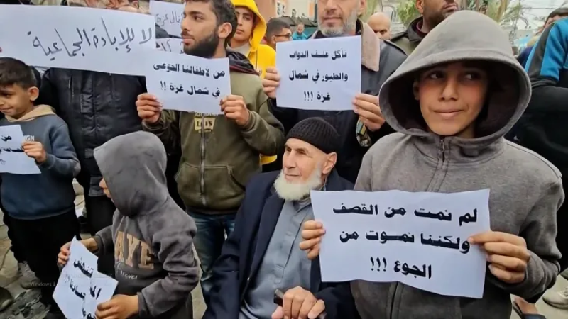 أرقام مفزعة عن سوء التغذية في غزة.. والأمم المتحدة تحذِّر من جوع كارثي