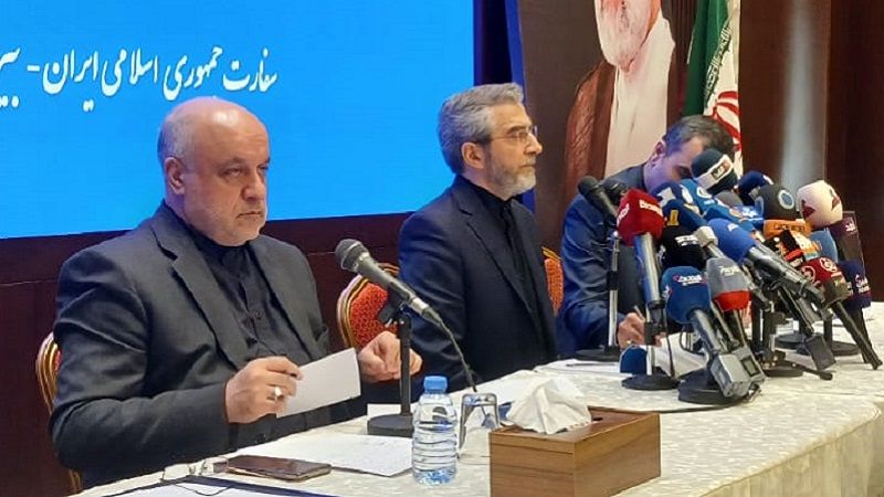 باقري كني: الكيان "الإسرائيلي" غير قادرٍ على إلحاق السوء بالمقاومة اللبنانية القوية