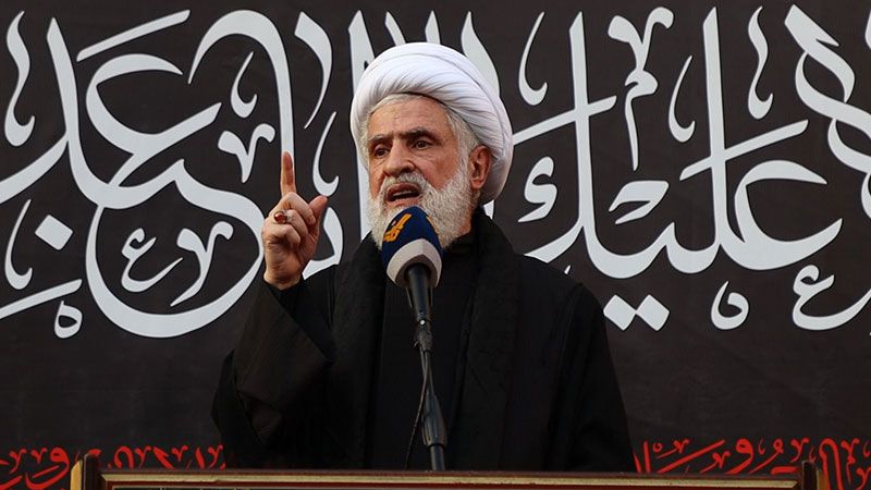 الشيخ قاسم: المقاومة هي الخيار الوحيد لطرد الاحتلال والدفاع عن بلدنا