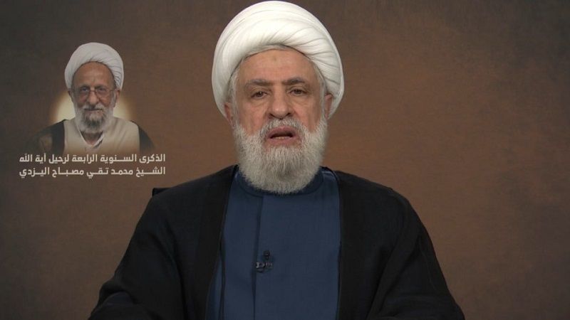الشيخ قاسم: المقاومة مستمرة وقد استعادت عافيتها 