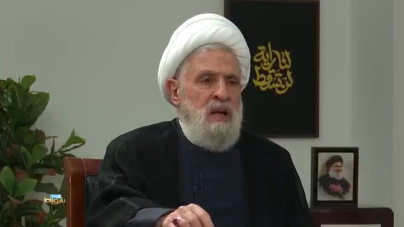 الشيخ قاسم: المقاومة وشعبها لن يسمحا لـ "الإسرائيلي" بالاستمرار في العدوان