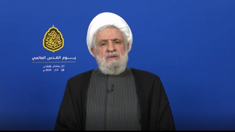 الشيخ قاسم: إذا لم تلتزم "إسرائيل" فلن يكون أمامنا إلا العودة إلى خيارات أخرى