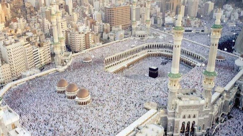 السيّد حسن نصر الله خادم