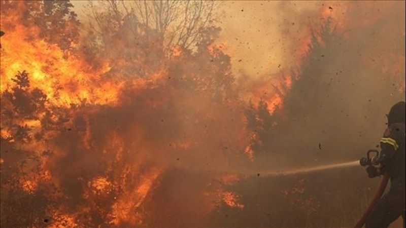 إعلام العدو: إجلاء مستوطني 8 مستوطنات غربي القدس المحتلة بسبب الحرائق
