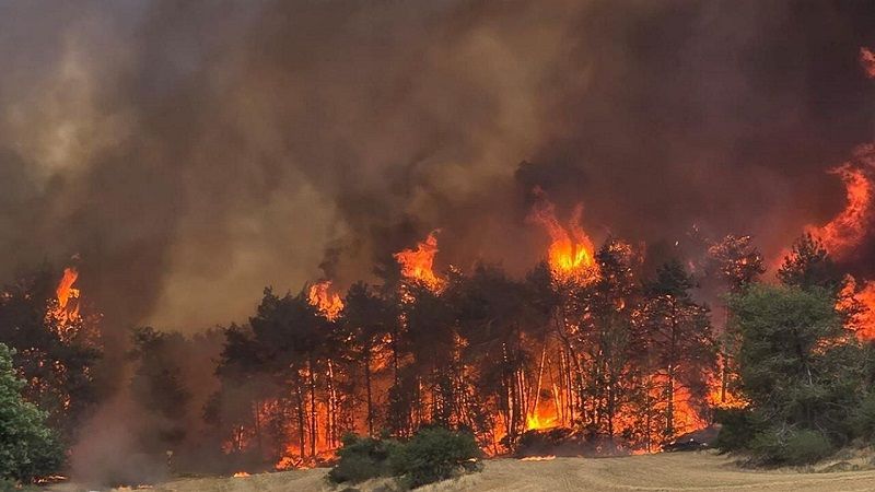 إعلام العدو عن قائد فريق الإطفاء في القدس المحتلة: ما زلنا بعيدين عن السيطرة على الحريق الهائل إعلام العدو عن قائد فريق الإطفاء في القدس المحتلة: ما زلنا بعيدين عن السيطرة على الحريق الهائل