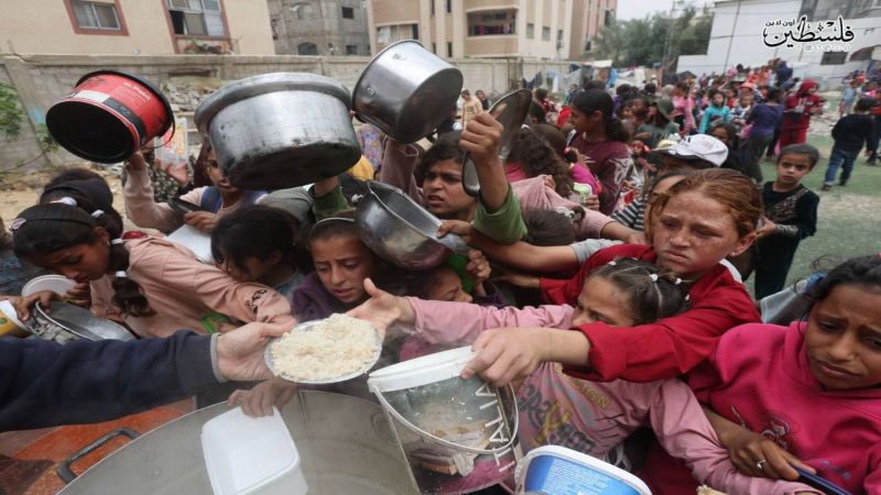 منسقة الشؤون الإنسانية في أوكسفام: غزّة تواجه كارثة إنسانية تتطلب تدخلًا دوليًا عاجلًا