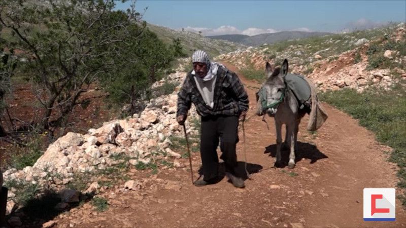 في عيد العمال .. &quot;أبو علي&quot; 83 عاماً ولا يزال يعمل في أرضه