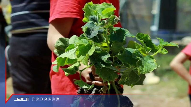 مشروع &quot;الحاكورة&quot; ينطلق .. الحياة مجددًا في وجه الدمار