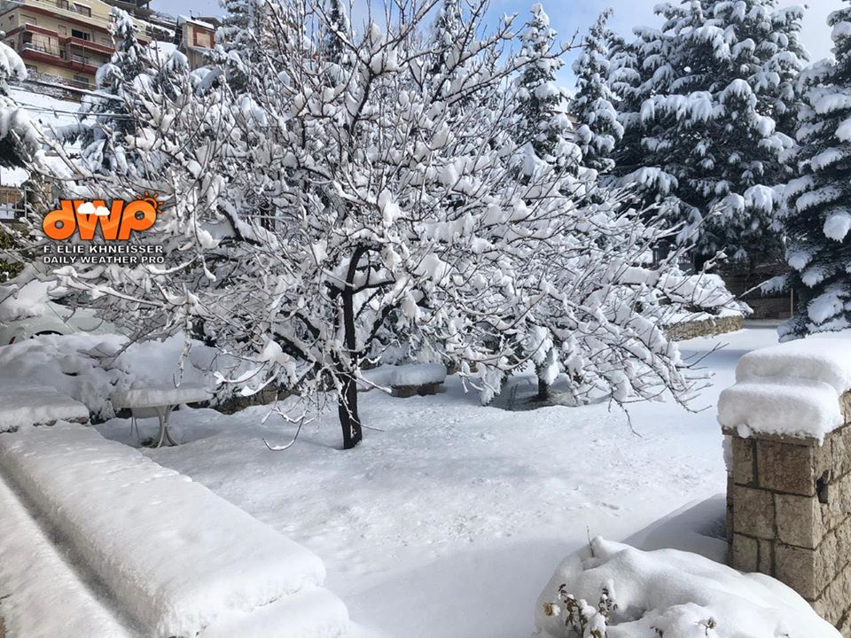 لبنان بالأبيض