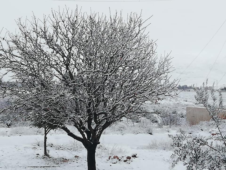لبنان بالأبيض