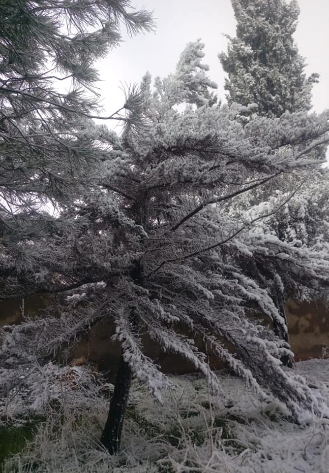 لبنان بالأبيض