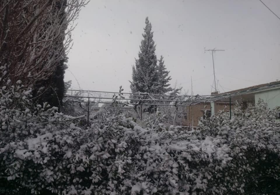 لبنان بالأبيض